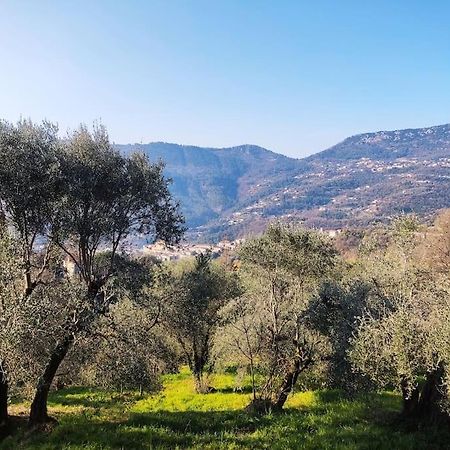 Bas De Villa. Cote D'Azur, A 20 Kms De Nice Contes  Zewnętrze zdjęcie