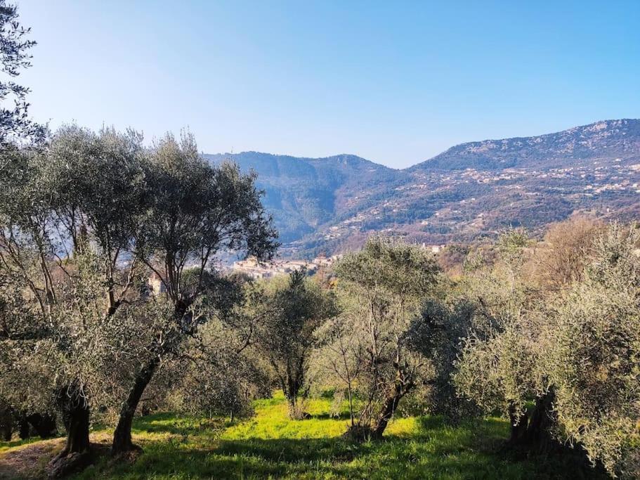 Bas De Villa. Cote D'Azur, A 20 Kms De Nice Contes  Zewnętrze zdjęcie