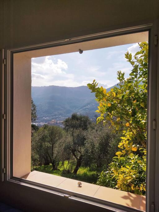 Bas De Villa. Cote D'Azur, A 20 Kms De Nice Contes  Zewnętrze zdjęcie